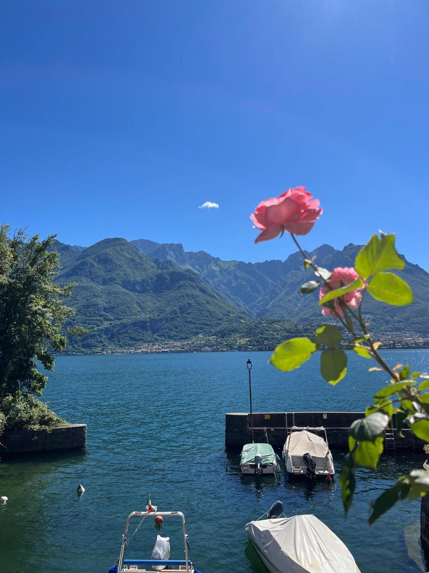Domus Graziana - Lake Front Oliveto Lario Exteriér fotografie
